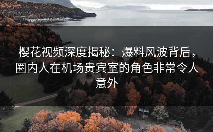 樱花视频深度揭秘：爆料风波背后，圈内人在机场贵宾室的角色非常令人意外